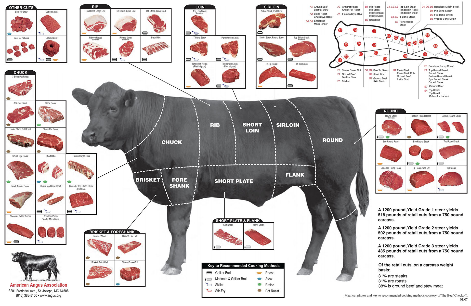 Basics of Beef Cuts